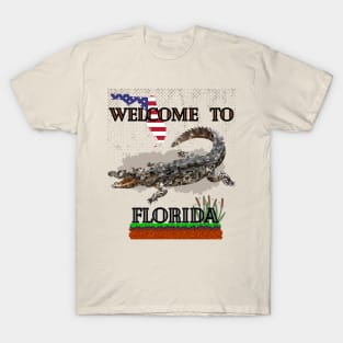 Funny Florida Meme T-Shirt